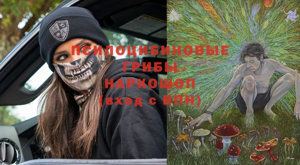 PSILOCYBIN Армянск