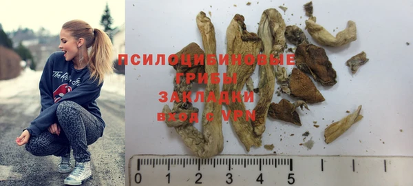 MESCALINE Аркадак